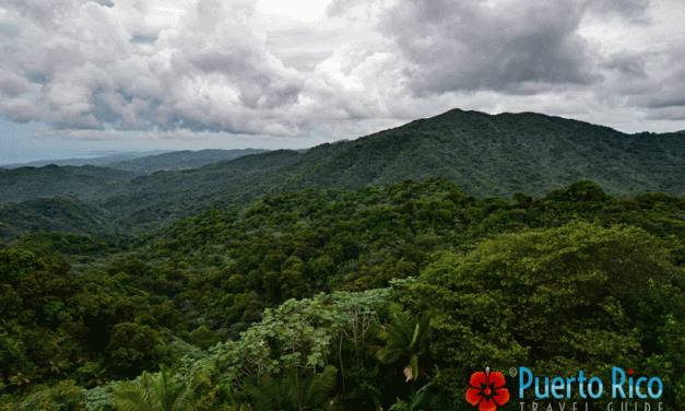 El Yunque National Rainforest – Rio Grande, Puerto Rico <BR>One of the Top Attractions & Tours in Puerto Rico <BR><h3>2023 Guide w/ Visiting Tips, Top Tours, Photos, Map</h3>