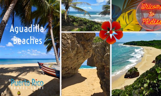 Best Beaches in Aguadilla, Puerto Rico <BR>2026 Beach Guide & Fun Tours