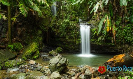 Puerto Rico’s East Coast – Best Places to Stay