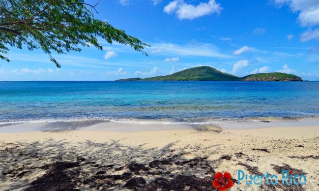 Playa Tamarindo, Culebra, Puerto Rico <BR>Best Beach to Snorkel with Sea Turtles