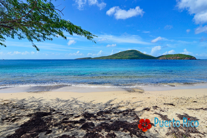 Playa Tamarindo / Tamarindo Beach - Best snorkeling beaches in Culebra, Puerto Rico