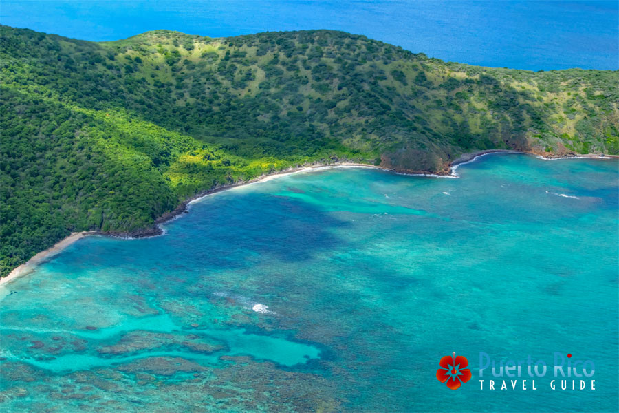 Culebra Puerto Rico Snorkeling Tours - Carlos Rosario Reef
