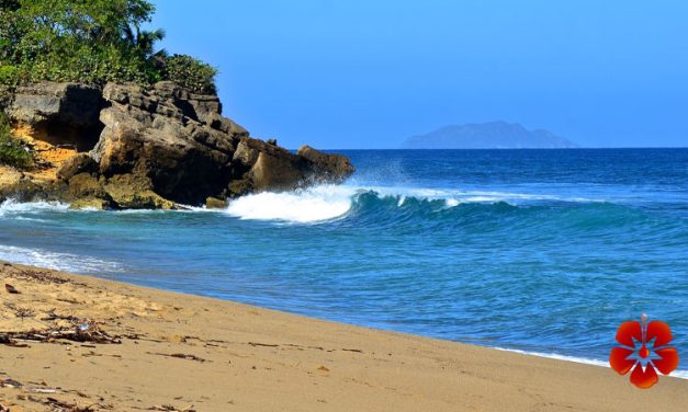 <center>Desecheo Island, Puerto Rico <BR>Desecheo National Wildlife Refuge</center>