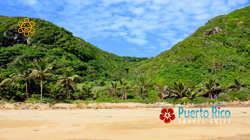 Isabela Puerto Rico -