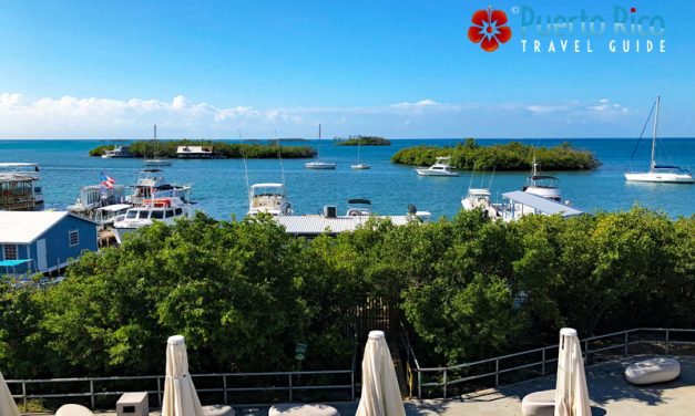 La Parguera in Lajas, Puerto Rico – Visitor’s Guide 2026