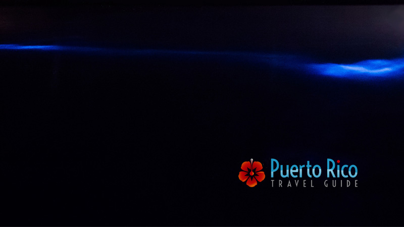 Lajas Bioluminescent Bay - La Parguera, Puerto Rico