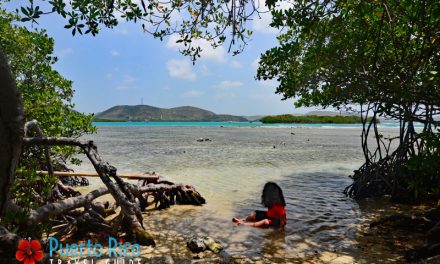 Cayo Mata La Gata – Lajas, Puerto Rico <BR>2026 Visiting Guide