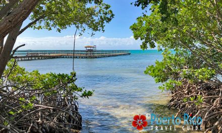 Playita Rosada – Lajas, Puerto Rico <BR>2026 Guide
