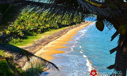 Playa Punta Tuna & Nature Reserve <BR>Maunabo, Puerto Rico – 2026 Beach Guide