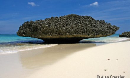 Isla de Mona (Mona Island) – One of the Islands of Puerto Rico