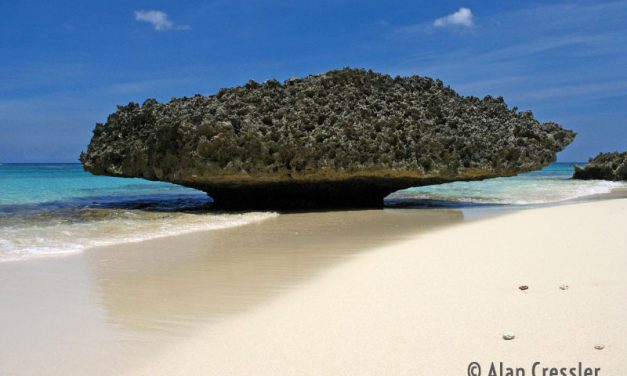 Isla de Mona (Mona Island) – One of the Islands of Puerto Rico