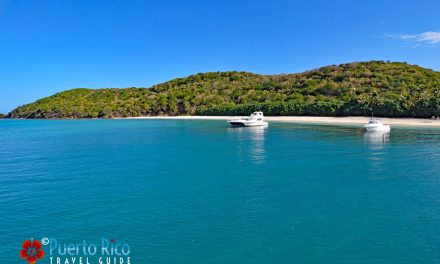 Palomino Island, Puerto Rico <BR>Island Guide & Excursions