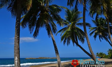 Playa Peñon Brusi – Camuy, Puerto Rico <BR>2026 Beach Guide