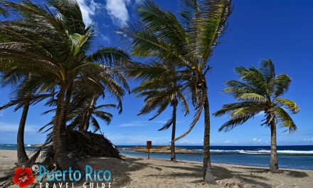 Playa Sardinera – Hatillo, Puerto Rico <BR>2026 Beach Guide