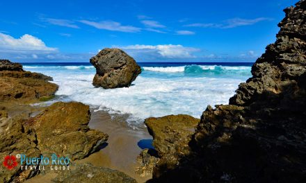 Playa Pelicano – Isabela, Puerto Rico