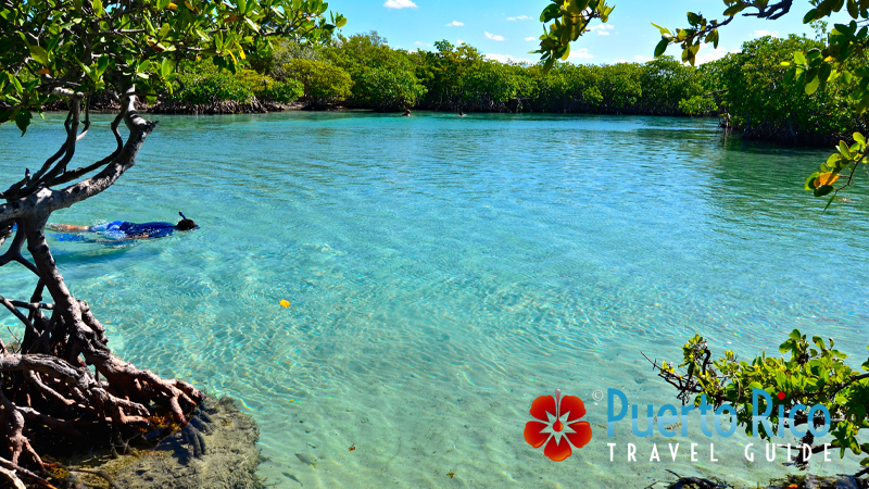 Gilligan's Island, Guanica, Puerto Rico - Best snorkeling beaches in Puerto Rico