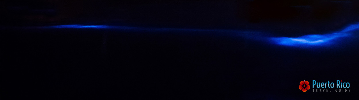 Puerto Rico Bioluminescent Bay Guide 