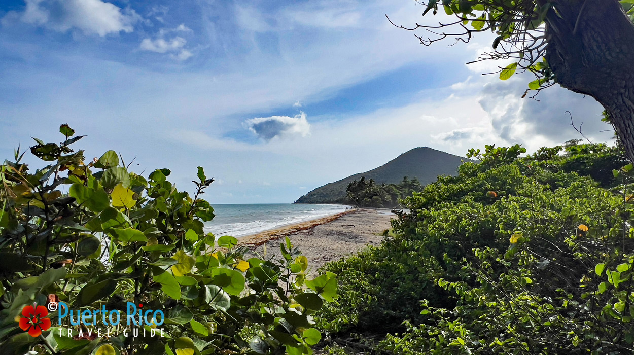 Playa Los Bohios - Black Sand Beach - Puerto Rico East Coast