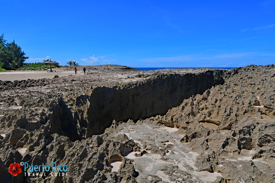 Best places to visit in Isabela Puerto Rico - Pit Cave - Pozo de Jacinto