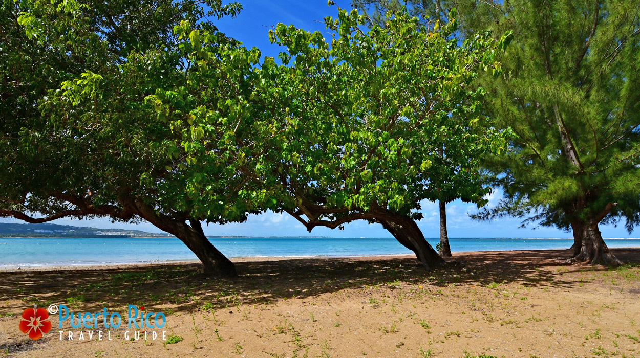 Puerto Rico East Coast Beaches Guide