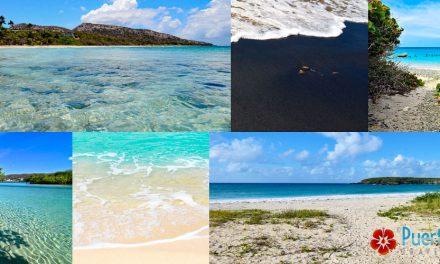 The Islands of Puerto Rico <BR>2026 Guide – Best Islands to Visit