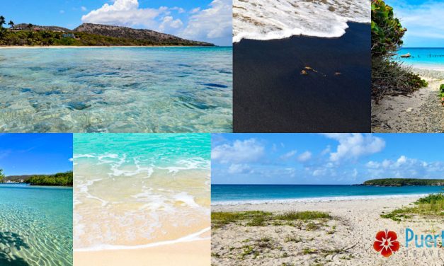 The Islands of Puerto Rico <BR>2026 Guide – Best Islands to Visit