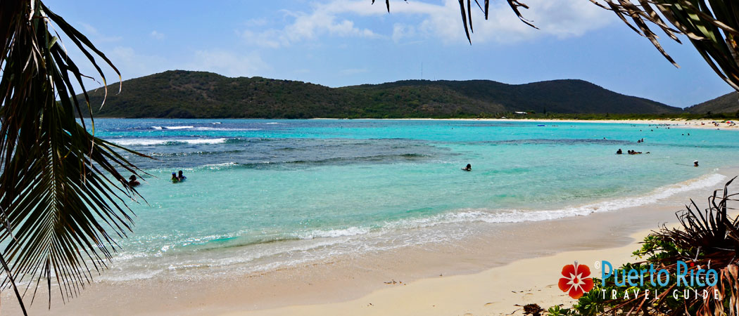 Culebra - Puerto Rico Islands Guide