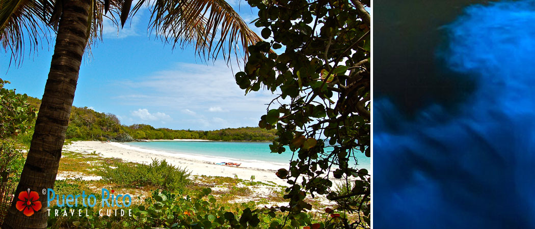 Vieques - Puerto Rico Islands