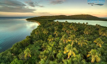 Laguna Grande, Bioluminescent Lagoon in Fajardo, Puerto Rico  <H2>Visiting Guide & Tours</h2>