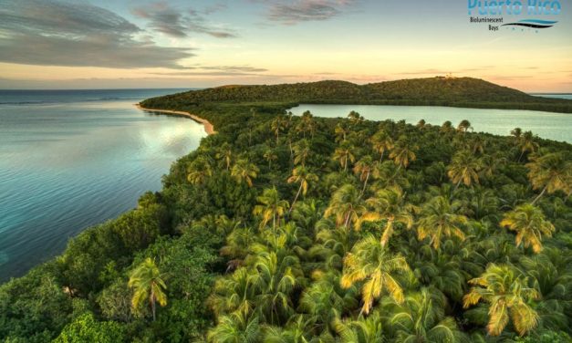 Laguna Grande, Bioluminescent Lagoon in Fajardo, Puerto Rico <H2>Visiting Guide & Tours</h2>