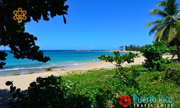 Playa Sardinera, Isabela, Puerto Rico <BR>2026 Beach Guide