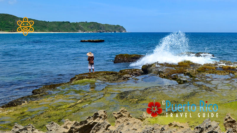 Puerto Rico Offshore Fishing - Isabela