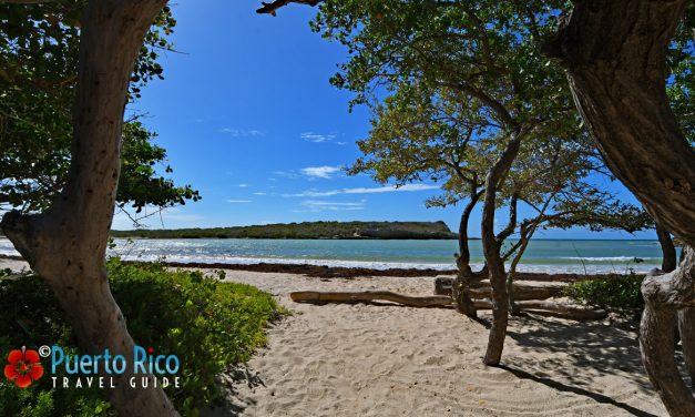 Best Beaches in the South Coast of Puerto Rico 2026