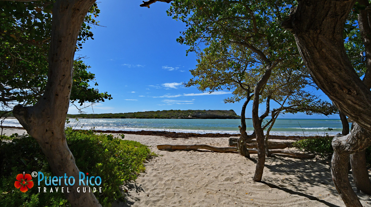 Puerto Rico's South Coast Best Beaches Guide
