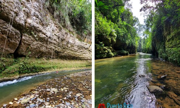 Tanama River & Cueva de Arco (Arch Cave) <BR>Body Rafting & Caving