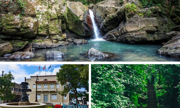 Rio Grande, Puerto Rico <BR>2026 Visitor’s Guide