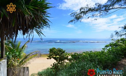 Playa Shacks – Isabela, Puerto Rico <BR>2026 Beach Guide
