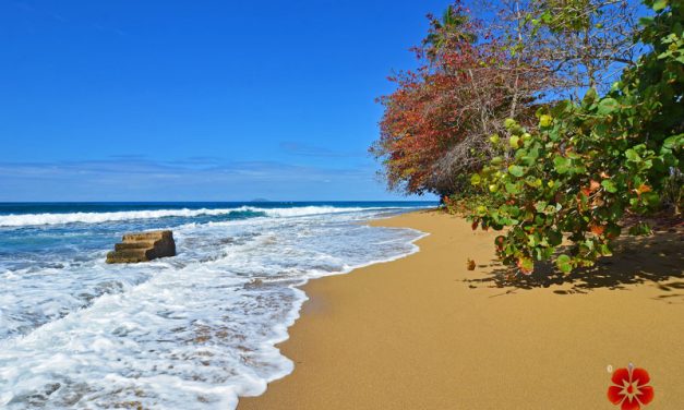 Steps Beach – Reserva Marina Tres Palmas <BR>Rincon, Puerto Rico – 2026 Beach Guide