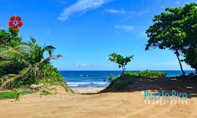 Playa Wilderness – Aguadilla, Puerto Rico <BR>2026 Guide